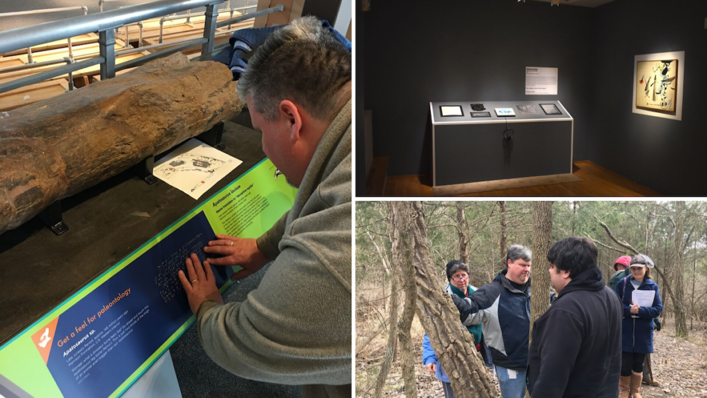 A collage of images showing the types of institutions partnering for the initiative, including a history museum, art museum and nature center.